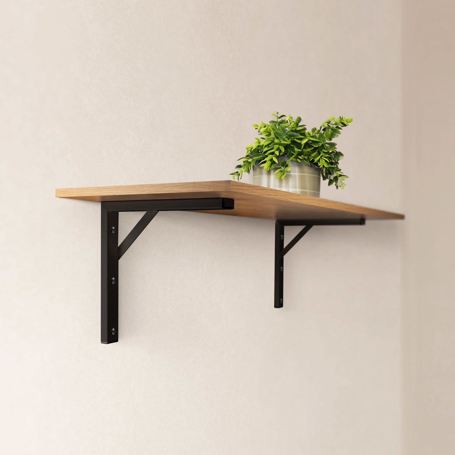 plankendragers--zwart