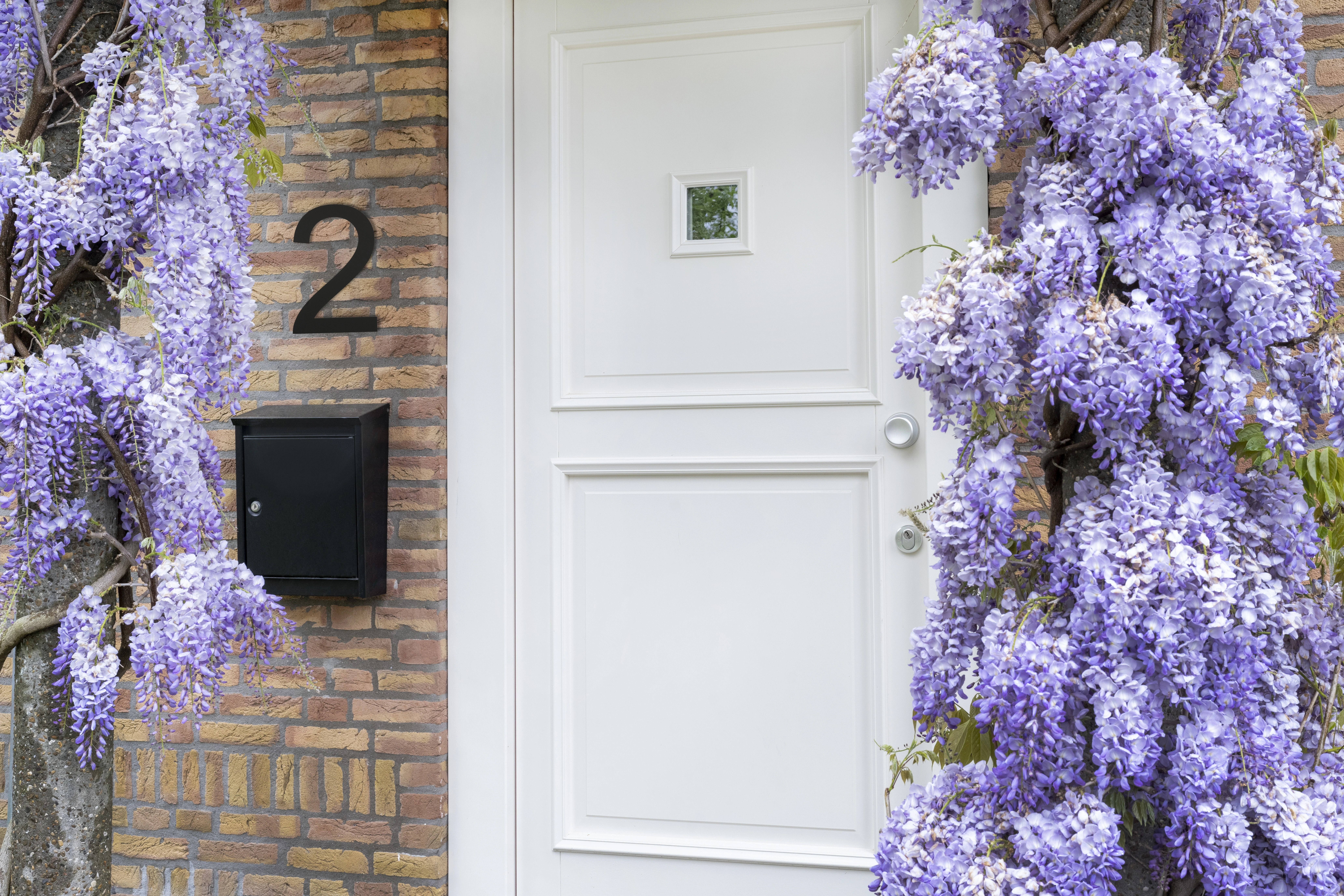 LIROdesign - Hausnummer schwarz XL - Nr. 2